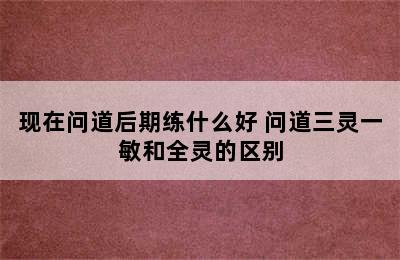 现在问道后期练什么好 问道三灵一敏和全灵的区别